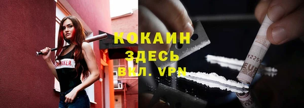 spice Арсеньев