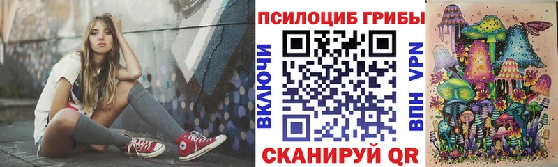 Галлюциногенные грибы Psilocybe  Полысаево 
