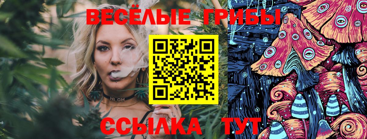 Полысаево  Псилоцибиновые грибы Psilocybe  Вход с VPN  Псилоцибиновые грибы Psilocybe 